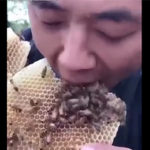 蜂の巣を食べる男性