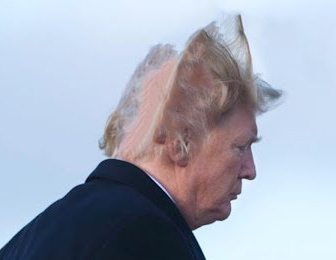 トランプ大統領の髪の毛が