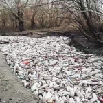 ペットボトルで汚染された川