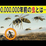 3億年前、地球上の虫はどんな姿だったのか