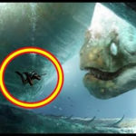 怖い…ダイバーが出くわした深海の巨大生物5選